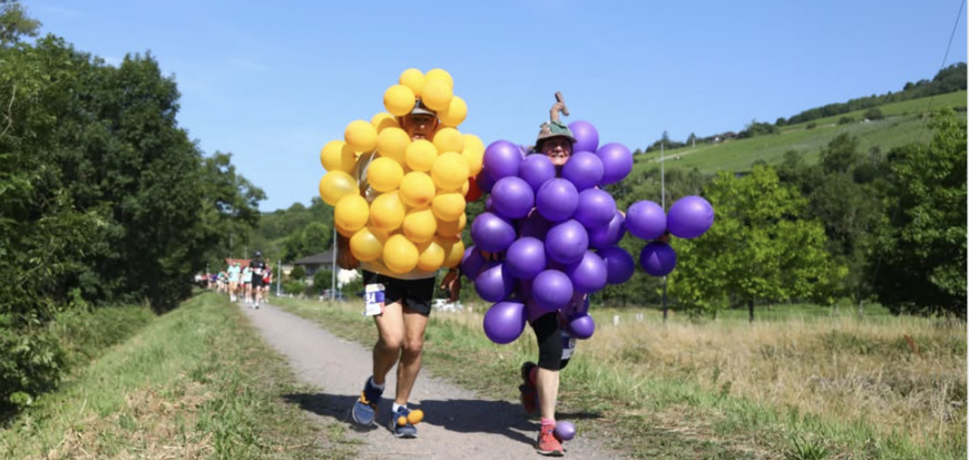 Les photos officielles du Marathon du Vignoble d'Alsace 2025 sont arrives 